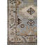 Oriental Area Rug in Gray