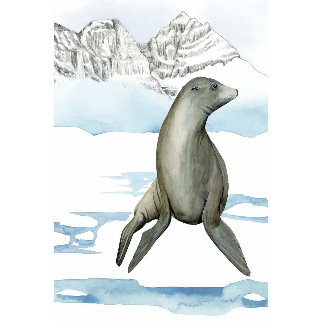 Leinwandbild Arctic Animal IV von Grace Popp