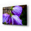«Purple Rain» par Pamela Plummer-936616353