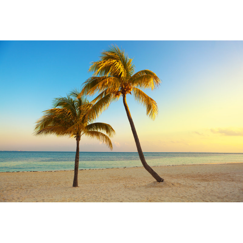 Tropical Paradise by YinYang - Wrapped Canvas Print, 20cm H x 30cm W