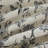  100% Cotton Black Printed Floral Quilt Bedding Set-283005637