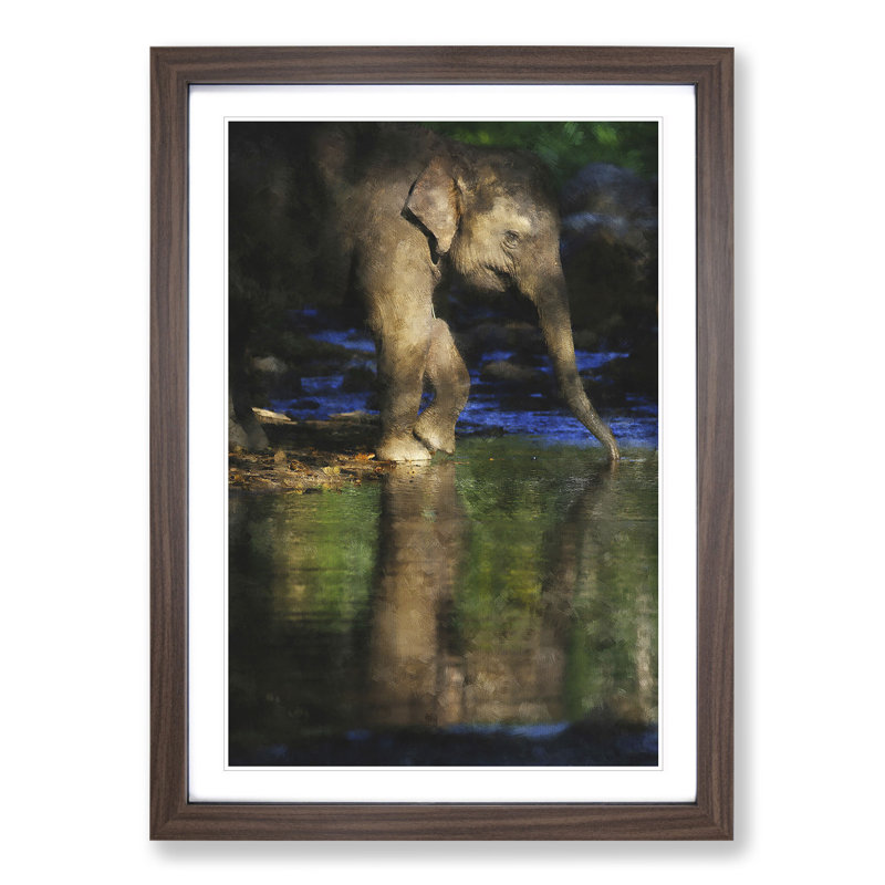 Elephant Vol.4 - Picture Frame Graphic Art, 48cm H x 36cm W x 2cm D, Walnut Framed