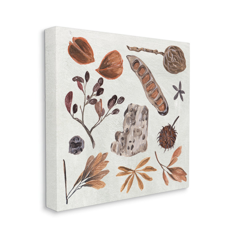 «Brown Seed Leaf Nut Botanicals Nature» par Melissa Wang - Peinture, H 36 po x l 36 po x P 1,5 po, Toile tendue