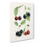 Vintage Illustrations Of Cherries - Wrapped Canvas Painting-55299994
