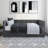 Dmitry Upholstered Daybed with Drawers-680252681-737672122