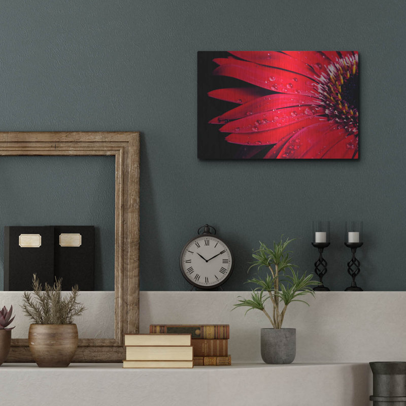 Gerbera rouge avec gouttes d'eau 03 par Tom Quartermaine, H 12 po x l 16 po