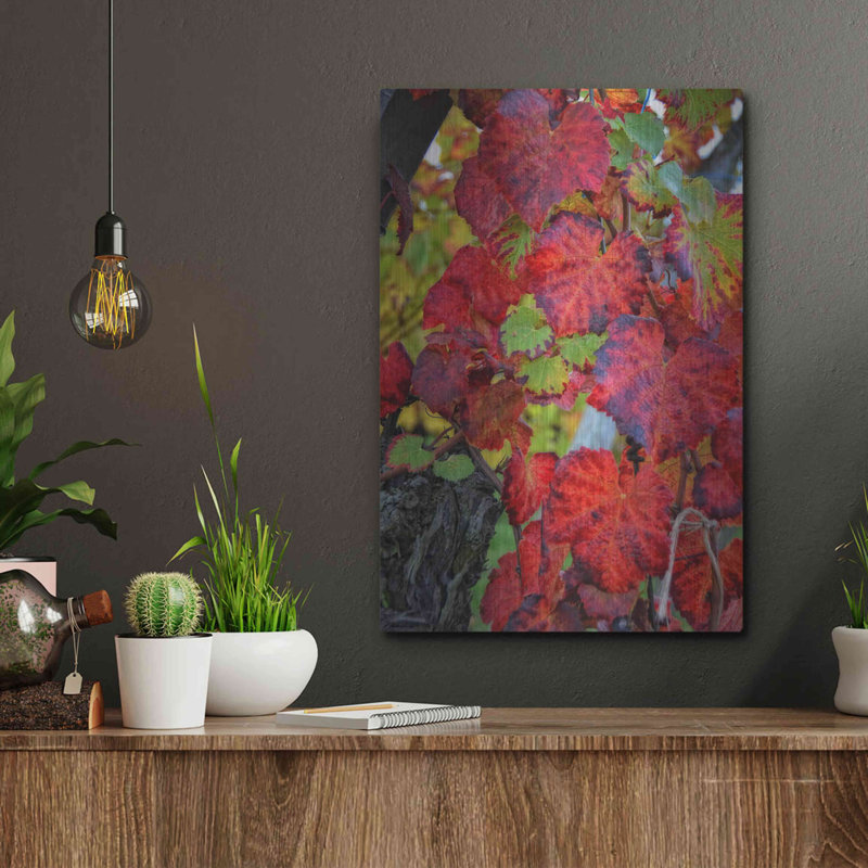 "Velvet Leaves" par Philippe Sainte, H 16 po x l 12 po