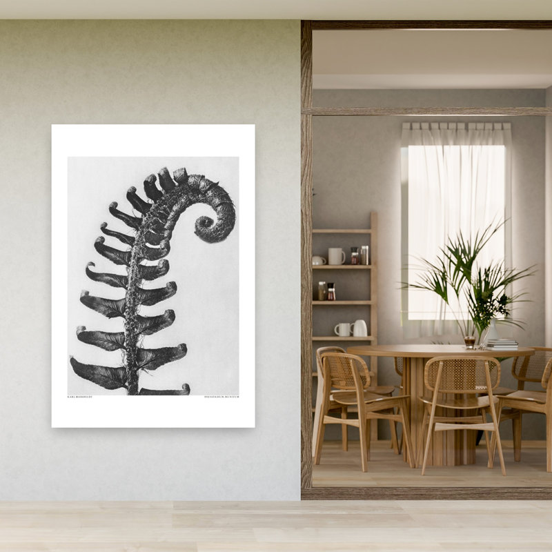 «Polystichum Munitum», reproduction d'art rétro sur toile de cheval, 60" H x 40" W