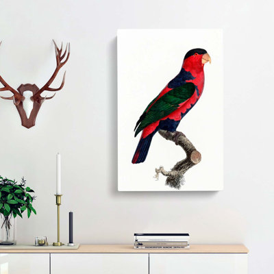 A Black-Capped Lory by F. Levaillant - Wrapped Canvas