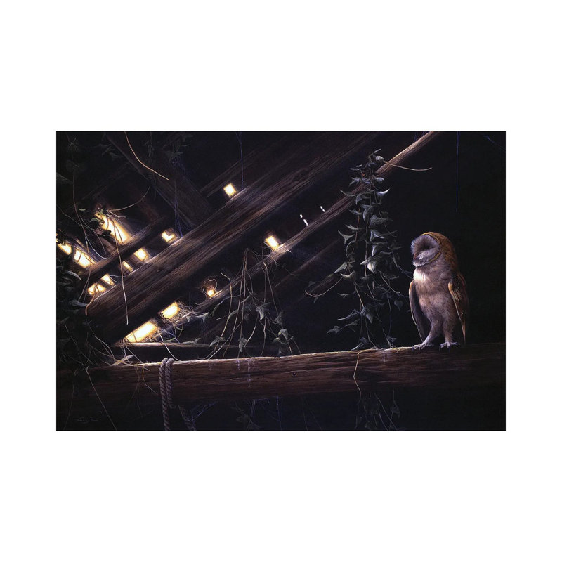 " Barn Owl " by Jeremy Paul, 18" H x 26" W x 1.5" D