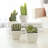 4 - Piece Artificial Succulent in Pot Set