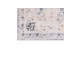Tapis bleu / beige / gris Tristian-1293725525