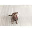 Icelandia White Hand Knotted Viscose Rug