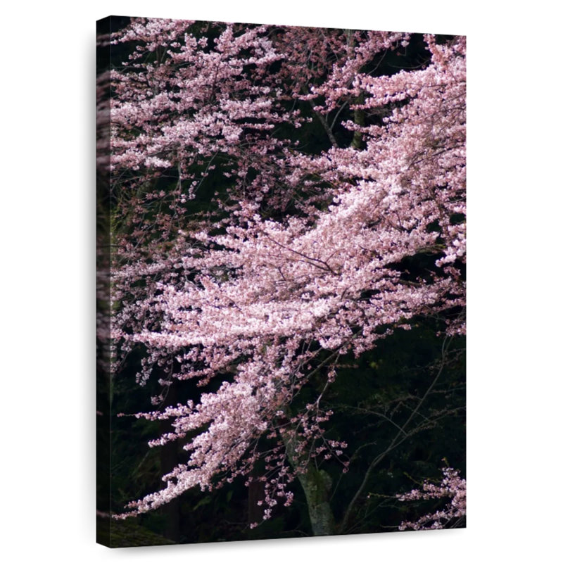 Harnek Cherry Blossom Spring Beauty, 30" H x 20" W