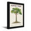 «Kapok Plants & Flowers», impression botanique-2043666108-2043666115-2043666112