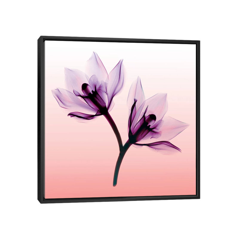 «Orchids II», impression sur toile, H 18 po x l 18 po x P 1,5 po, Toile encadrée noire, Pas de tapis