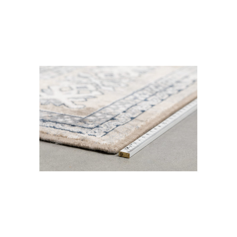 Mahal Oriental Area Rug in Gray/Brown/Beige, Rectangle 6' x 8'