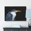 Pied Heron - Wrapped Canvas-56632253