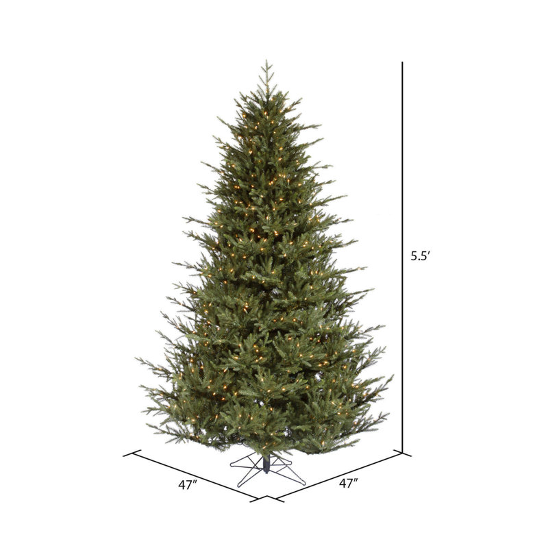 Itasca Frasier Christmas Tree with LED Warm White Lights with Stand, 5.5' H