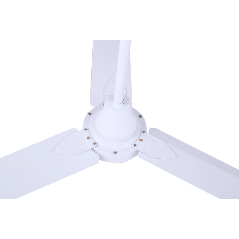 Duffy 56'' Ceiling Fan