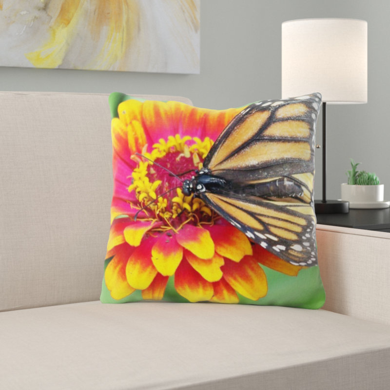 Coussin monarch