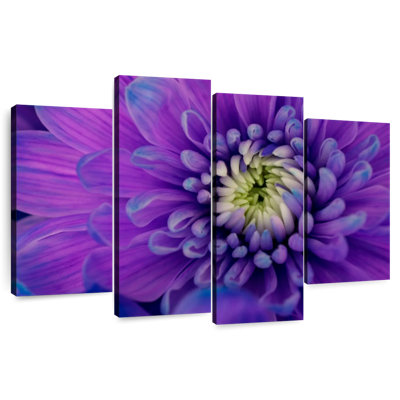 Harnek Purple Mum