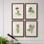 Pretty Pink Botanicals II - ensemble de 4 reproductions de cadres photo-1342891445-1342891446