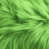 Lime est en rupture de stock