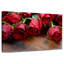 Harnek fraîchement cueillies roses rouges-108731249