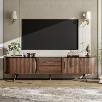 Modern tv stand with two drawers and sliding door