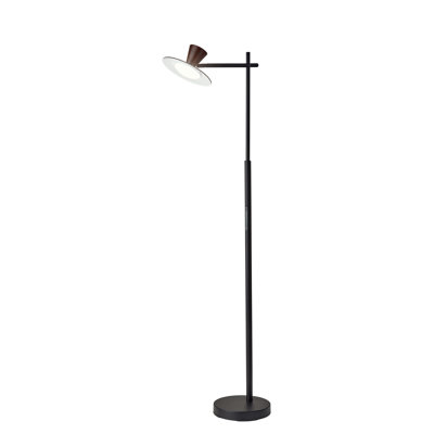 Rolinda 56'' Black LED Task Floor Lamp