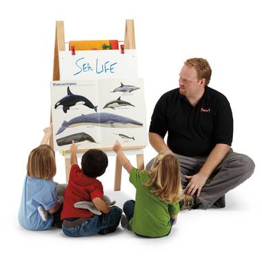 Childcraft Folding Adjustable Wood Board Easel