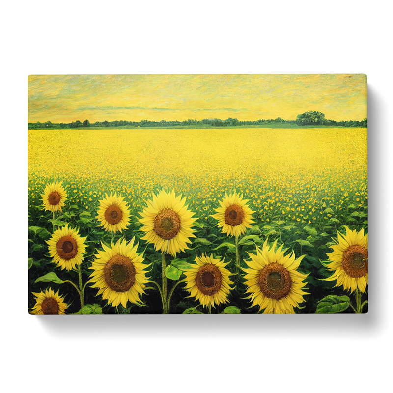 Precious Sunflower Field - Wrapped Canvas, 50cm H x 76cm W x 3cm D