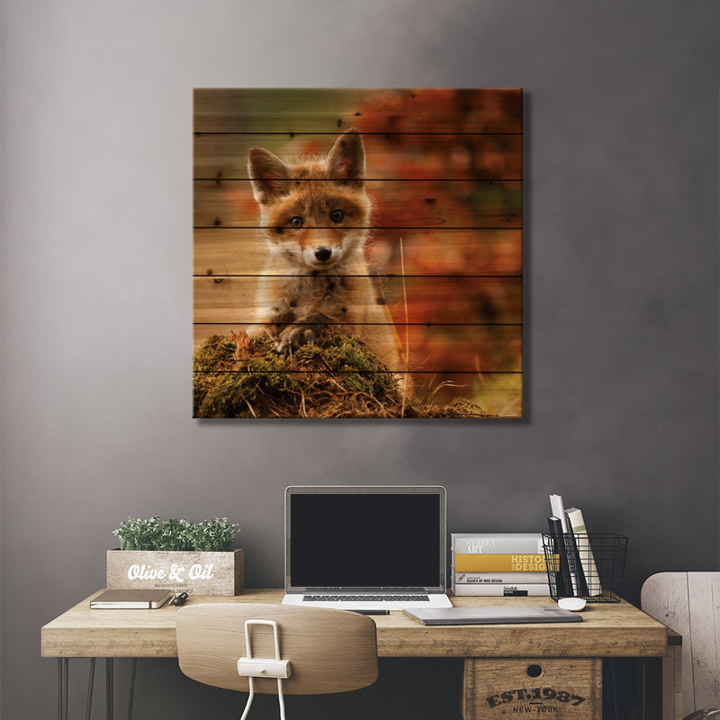 Renard