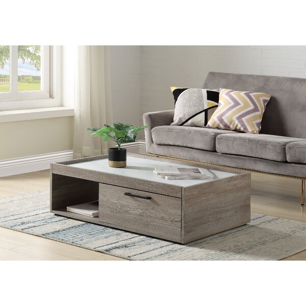 Orren Ellis Tapatha Coffee Table with Storage | Wayfair