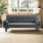 Aneth Upholstered Daybed,love seat,sleeper sofa,Sofa Bed-334794991