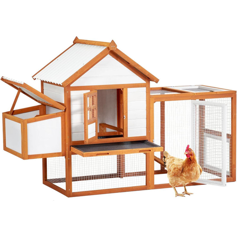 Poulailler en bois 74 po pour 5 à 8 poules, avec 5 portes verrouillables