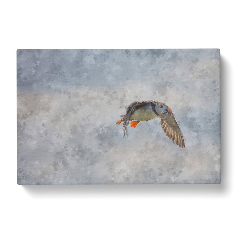 Atlantic Puffin Birds Vol.5 - Wrapped Canvas, 35cm H x 50cm W x 3cm D