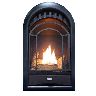 ProCom Dual Fuel Ventless Gas Fireplace Insert - Arched Door, 10,000 BTU, T-Stat Control - Model# PCS100T
