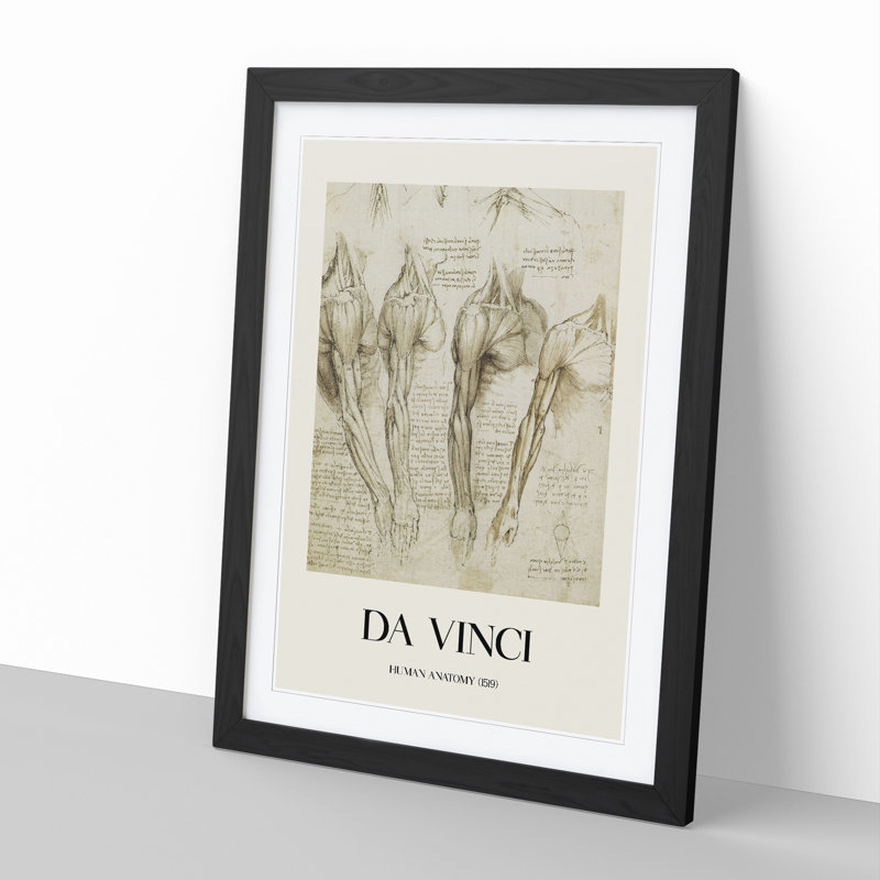 Human Anatomy Vol.8 by Leonardo Da Vinci - Picture Frame Drawing, 65cm H x 48cm W x 2cm D, Black Framed