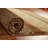One-of-a-Kind 4'2" X 6'0" New Age Wool Area Rug in Brown