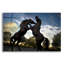 «Stallions» par SD Smart-1090704248