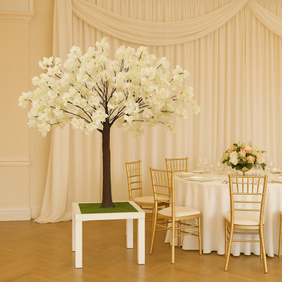 Maple Arrangement
