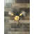 Raw Brass