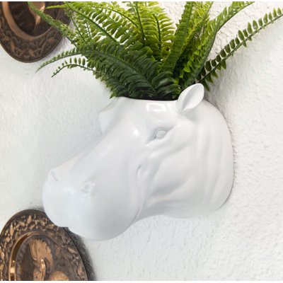 Wall Planter