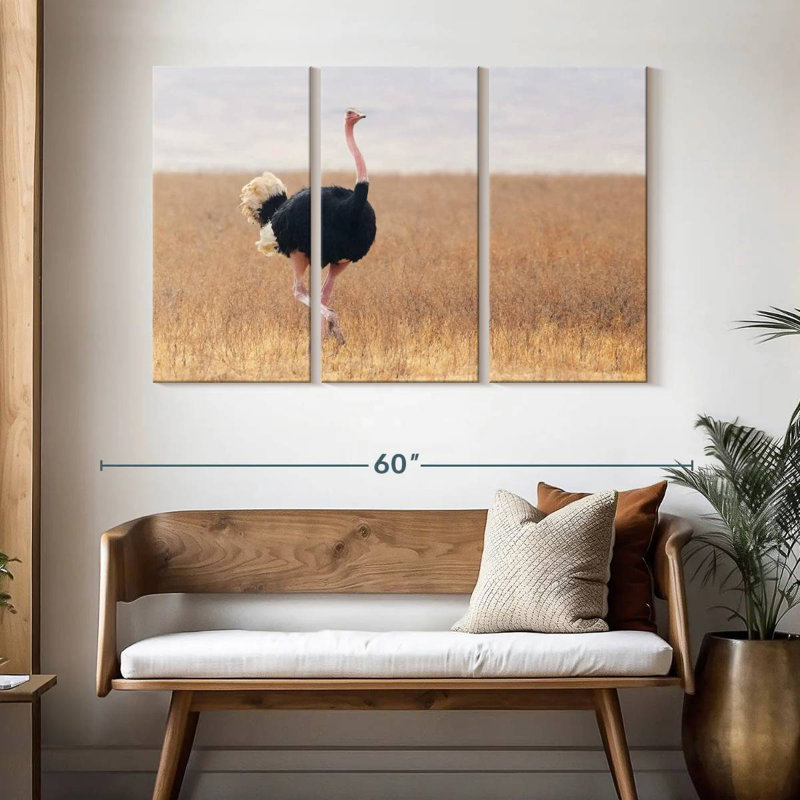 Striding Male Ostrich, 32" H x 50" W
