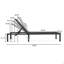 Outdoor Chaise Lounge (Set Of 2)