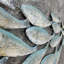 Coastal Animals Wall Decor