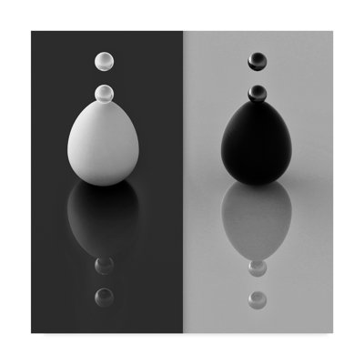 Black and White Photography Print
