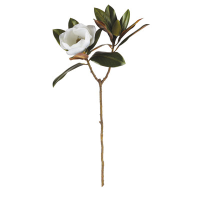 31-Inch Magnolia Stem